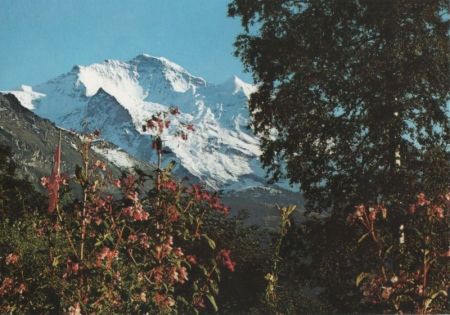 Schweiz - Wengen - Jungfrau - ca. 1980 Schweiz - Wengen - Jungfrau - ca. 1980