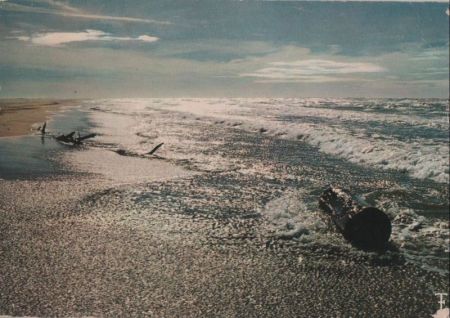 Camargue - Frankreich - Plage Camargue - Frankreich - Plage