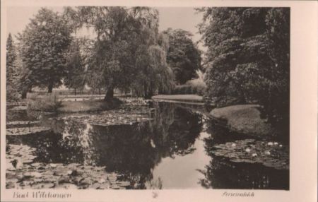Bad Wildungen - Seerosenteich - ca. 1955 Bad Wildungen - Seerosenteich - ca. 1955