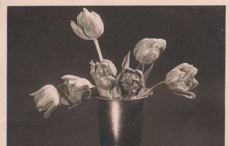 Geburtstagsgrüße - ca. 1955 Geburtstagsgrüße - ca. 1955