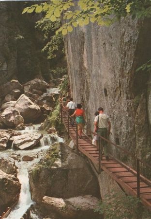 Schwangau, Hohenschwangau - Pöllatschlucht - 1975 Schwangau, Hohenschwangau - Pöllatschlucht - 1975