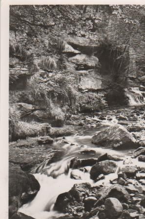 Bad Liebenzell - Monbachschlucht - 1971 Bad Liebenzell - Monbachschlucht - 1971