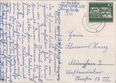 Sinnspruch Käfer Sinnspruch Käfer
