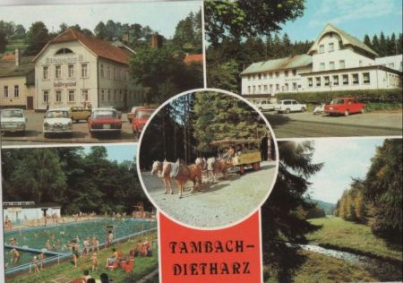 Tambach-Dietharz - u.a. Kutschfahrt im Thüringer Wald - 1986 Tambach-Dietharz - u.a. Kutschfahrt im Thüringer Wald - 1986