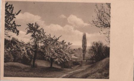 Landschaft mit blühenden Bäumen - 1939 Landschaft mit blühenden Bäumen - 1939