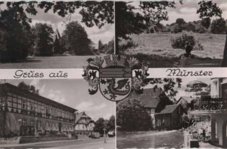 Munster - 1960 Munster - 1960