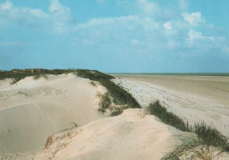 Sylt (Insel) - Dünenausblick - 1987 Sylt (Insel) - Dünenausblick - 1987