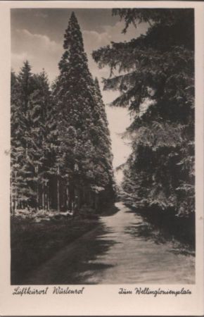 Wüstenrot - Zum Wellingtonienplatz - ca. 1955 Wüstenrot - Zum Wellingtonienplatz - ca. 1955