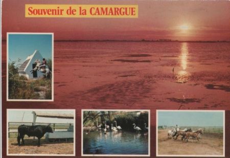Frankreich - Camargue - 1989 Frankreich - Camargue - 1989