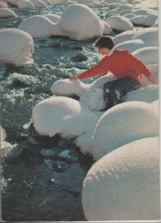 Schneepolster - 1966 Schneepolster - 1966
