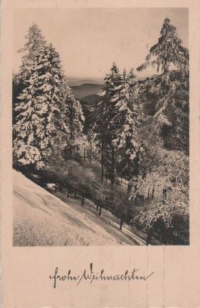 Frohes Weihnachtsfest - Winterlandschaft Frohes Weihnachtsfest - Winterlandschaft