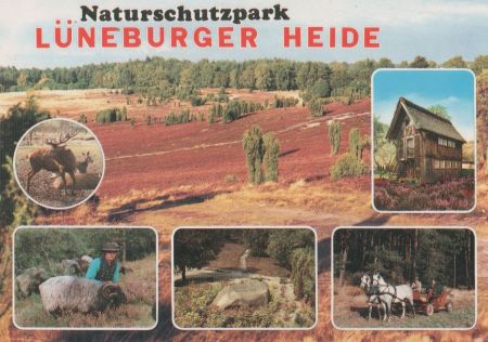 Lüneburger Heide - ca. 1995 Lüneburger Heide - ca. 1995