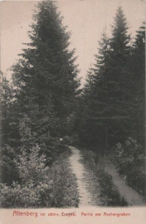 Altenberg - Partie am Aschergraben - ca. 1935 Altenberg - Partie am Aschergraben - ca. 1935