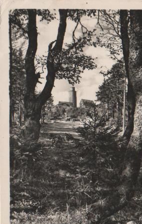 Tabarz - Auf dem Grossen Inselberg - 1956 Tabarz - Auf dem Grossen Inselberg - 1956