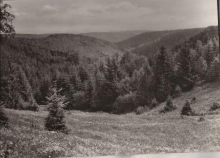 Frauenwald - Tränkbachtal - 1975 Frauenwald - Tränkbachtal - 1975