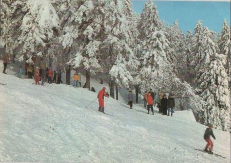 Skifahrer am Hang - 1983 Skifahrer am Hang - 1983