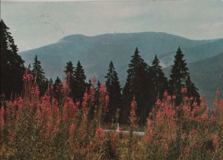 Schwarzwaldhochstraße - 1968 Schwarzwaldhochstraße - 1968