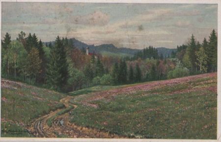 Landschaft mit Wiese Landschaft mit Wiese