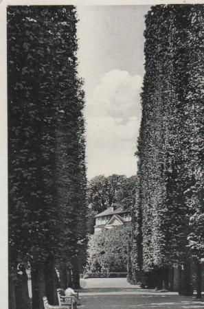 Bad Pyrmont - Schloß-Allee - ca. 1955 Bad Pyrmont - Schloß-Allee - ca. 1955