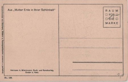 Hinauf zum Licht Hinauf zum Licht