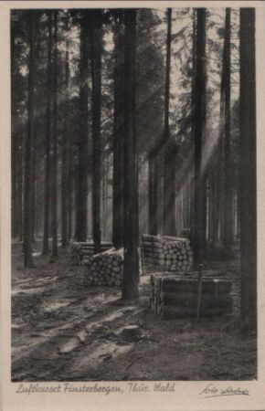 Finsterbergen - Morgensonne im Naturpark Hüllerodt - 1949 Finsterbergen - Morgensonne im Naturpark Hüllerodt - 1949