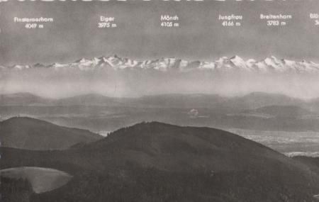 Schönau - Belchen Schwarzw. - Blick zur Schweiz - ca. 1955 Schönau - Belchen Schwarzw. - Blick zur Schweiz - ca. 1955