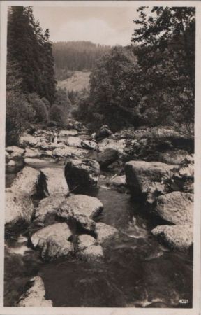 Höllental (Frankenwald) - Am Sauerbrunnen - ca. 1955 Höllental (Frankenwald) - Am Sauerbrunnen - ca. 1955