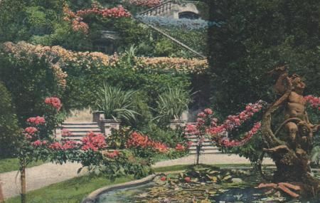 Italien - Cadenabbia - Giardino Villa Carlotta - ca. 1965 Italien - Cadenabbia - Giardino Villa Carlotta - ca. 1965