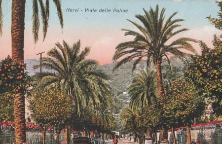 Italien - Nervi - Viale delle Palme - ca. 1925 Italien - Nervi - Viale delle Palme - ca. 1925