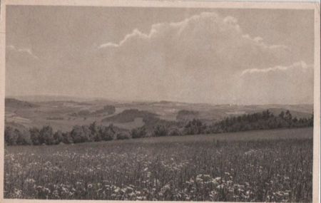 Geising - Geisingwiesen - ca. 1950 Geising - Geisingwiesen - ca. 1950
