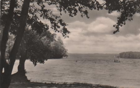 Neuglobsow - Am Großen Stechlinsee - 1958 Neuglobsow - Am Großen Stechlinsee - 1958