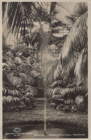 Schweden - Göteborg - Trädgardsföreningen, Palmhuset - 1928 Schweden - Göteborg - Trädgardsföreningen, Palmhuset - 1928