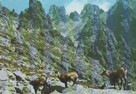 Slowakei - Hohe Tatra - ca. 1975 Slowakei - Hohe Tatra - ca. 1975