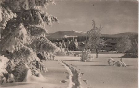 Oberhof - Blick zum Schneekopf - 1959 Oberhof - Blick zum Schneekopf - 1959