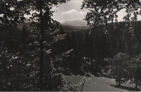 Waltershausen - Kräuterwiese - 1960 Waltershausen - Kräuterwiese - 1960
