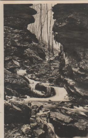 Wolfschlucht bei Zwingenberg a.N. - ca. 1955 Wolfschlucht bei Zwingenberg a.N. - ca. 1955