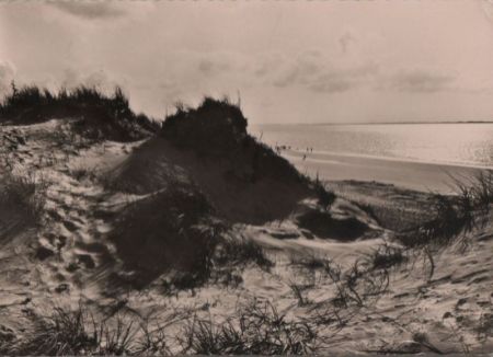 Langeoog - Dünen - 1967 Langeoog - Dünen - 1967