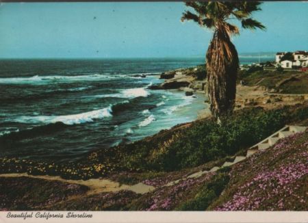 USA - Kalifornien - California - California Shoreline - 1980 USA - Kalifornien - California - California Shoreline - 1980