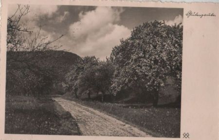 Blütenzauber - 1936 Blütenzauber - 1936