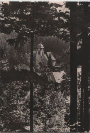 Altenberg-Kipsdorf - Walddurchblick - 1980 Altenberg-Kipsdorf - Walddurchblick - 1980