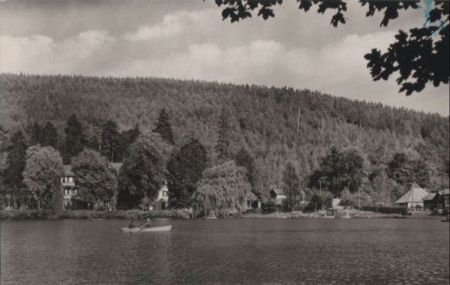 Georgenthal - Am Hammerteich - 1964 Georgenthal - Am Hammerteich - 1964