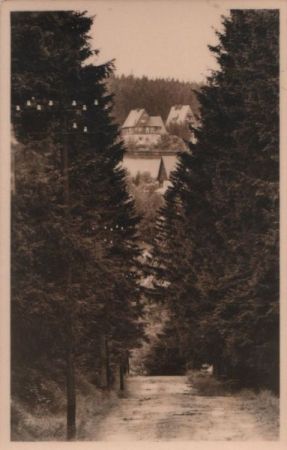 Altenberg-Oberbärenburg - Waldblick Altenberg-Oberbärenburg - Waldblick
