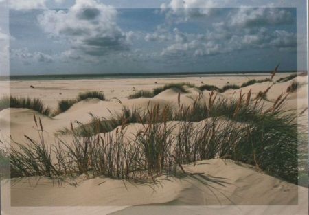 Amrum - Dünen und Strand - 2012 Amrum - Dünen und Strand - 2012