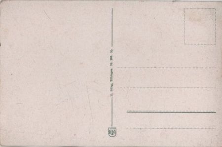 Titisee - Ort und See