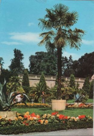 Potsdam, Sanssouci - Sizilianischer Garten - 1978 Potsdam, Sanssouci - Sizilianischer Garten - 1978