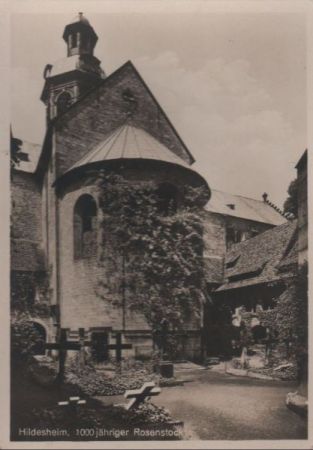 Hildesheim - 1000jähriger Rosenstock - ca. 1950 Hildesheim - 1000jähriger Rosenstock - ca. 1950