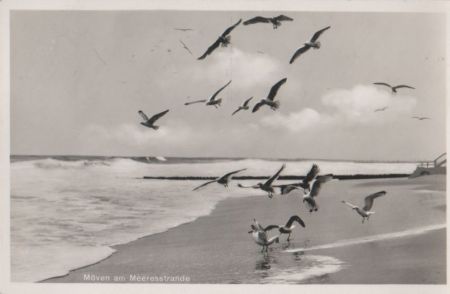 Möwen am Meer - 1938 Möwen am Meer - 1938