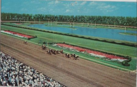USA - Hialeah - Race course - ca. 1970 USA - Hialeah - Race course - ca. 1970