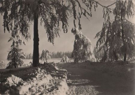 Friedrichroda - Spießbergstraße - 1959 Friedrichroda - Spießbergstraße - 1959