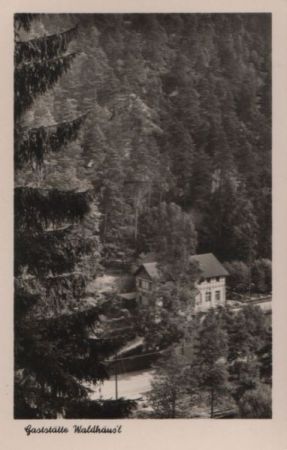 Bad Schandau - Gaststätte Waldhäusl, Kirnitzschtal - 1954 Bad Schandau - Gaststätte Waldhäusl, Kirnitzschtal - 1954